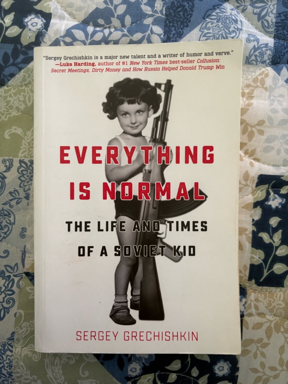 Everything Is Normal by Sergey Grechishkin